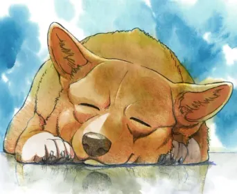 Cowboy Bebop: Ein's Summer Vacation