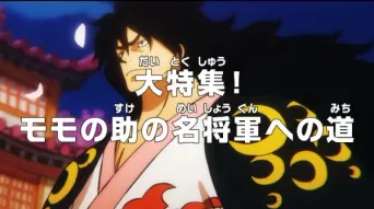 One Piece: Große Zusammenfassung! Momonosukes Weg zu einem berühmten Shogun
