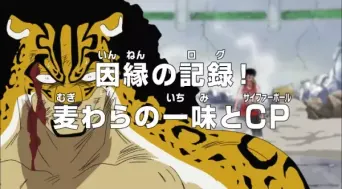 One Piece: Aufzeichnungen einer Rivalität! – Die Strohhüte und Cipherpol