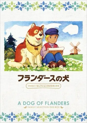 Niklaas, ein Junge aus Flandern