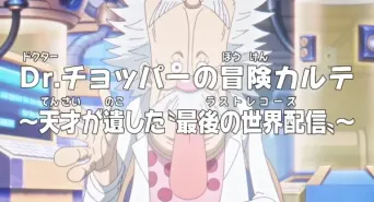 One Piece: Dr. Choppers Abenteuer-Krankenkarte. Die letzten Aufzeichnungen eines Genies