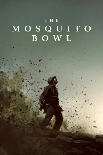 The Mosquito Bowl