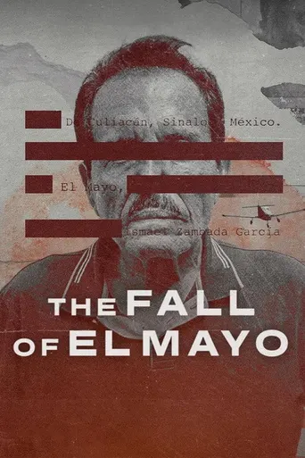 Der Fall von El Mayo