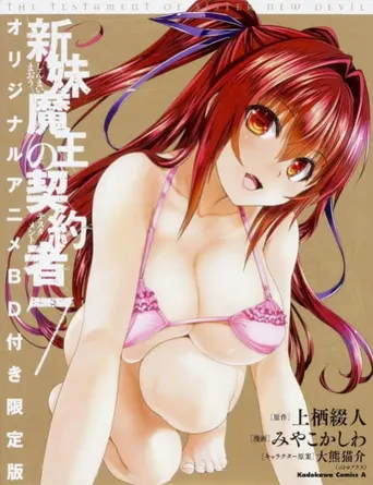 The Testament of Sister New Devil Burst: Basara Tojos äußerst friedlicher Alltag
