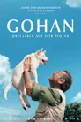 Gohan – Drei Leben auf vier Pfoten