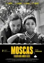 Moscas - Fliegen und andere Gäste